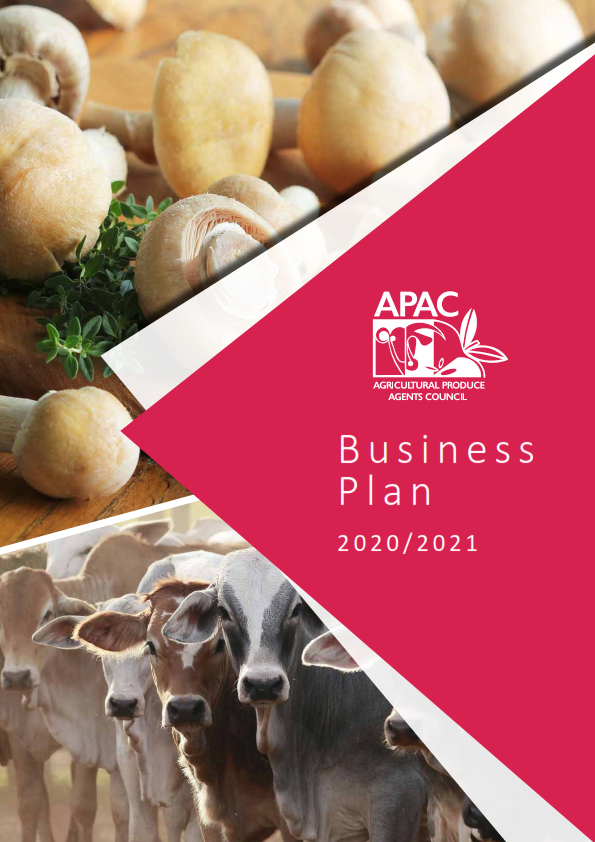 APAC Business plan 2020 2_001