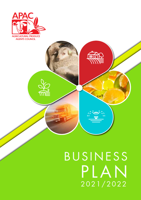 APAC Business plan 2021 without budget small_001