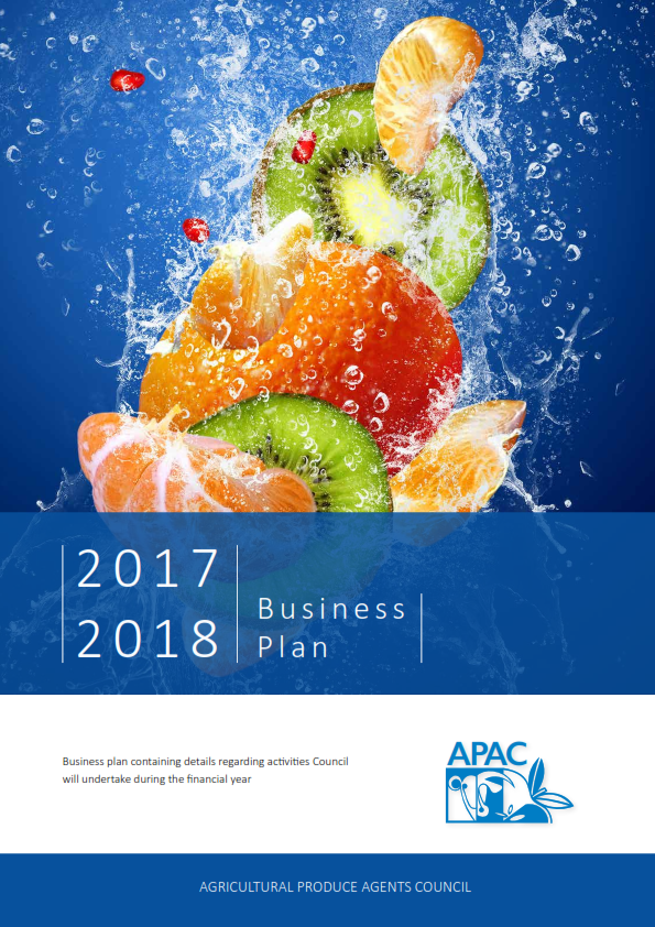 Business plan 2017_2018_001